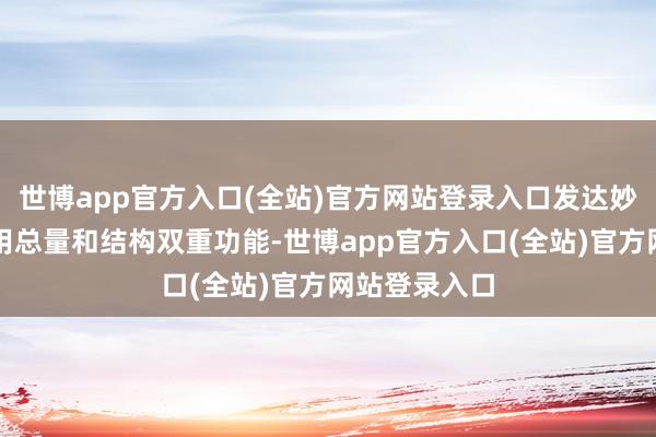 世博app官方入口(全站)官方网站登录入口发达妙品币计策器用