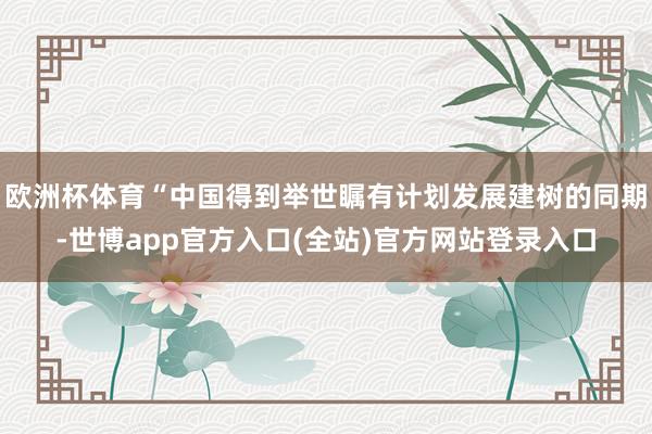 欧洲杯体育“中国得到举世瞩有计划发展建树的同期-世博app官
