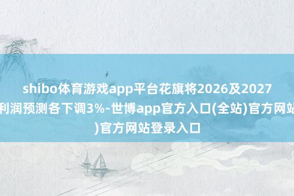 shibo体育游戏app平台花旗将2026及2027财年的净